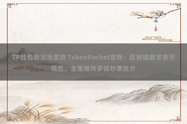 TP钱包稳定币支持 TokenPocket官网：区块链数字货币钱包，全面维持多链钞票处分